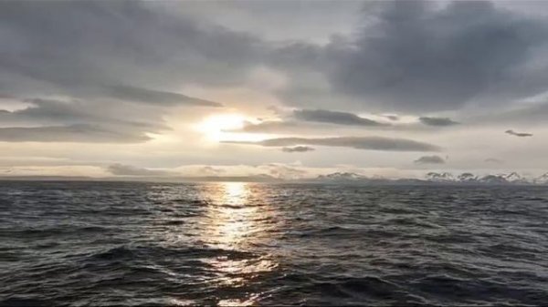 МОНТАЖ. Wellerman (Песня китобоев)