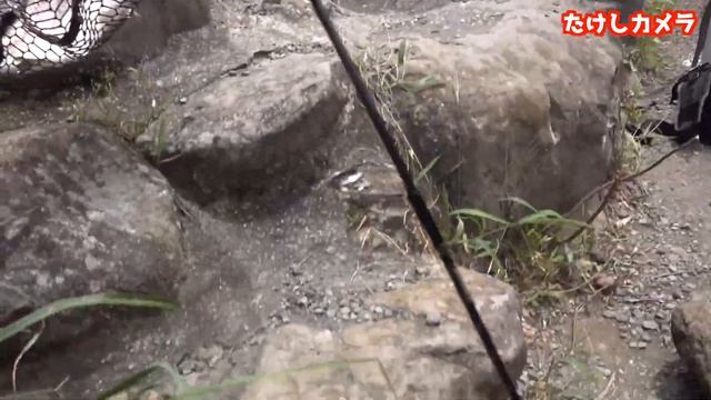 侠気エリアトラウト対決！！inすそのフィッシングパーク смотреть онлайн