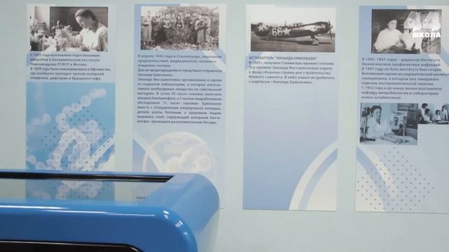 Школа 44 г.Ростова-на-Дону смотреть онлайн