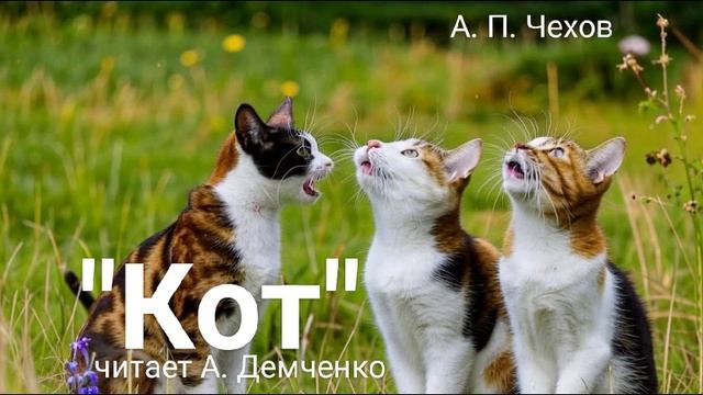 Чехов А. П. "Кот". Рассказ. Аудиокнига смотреть онлайн