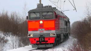 "Разноцветный гибрид". 2ТЭ116-1455 А/497 А с грузовым поездом