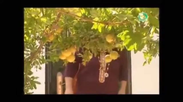 Degishmeler  - Hoja Hojaýew, Aşyr Däde We Gandym.