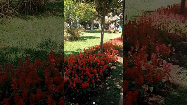 Na putovanju⛱️Dubrovnik-Herceg Novi-Budva-Opatija 🌺🛟🐟 #budva#hercegnovi#dubrovnik#opatija#crnagora смотреть онлайн