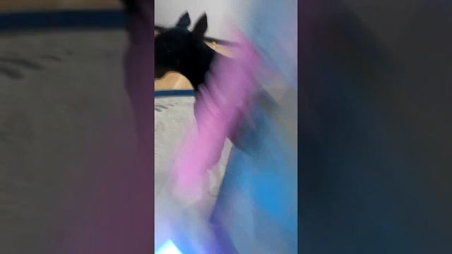 25 марта 2019 г. смотреть онлайн