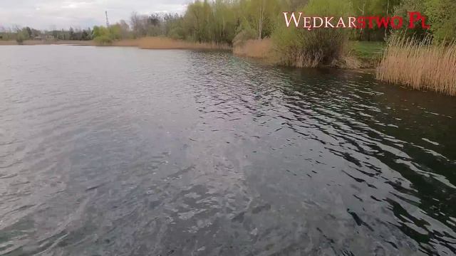 FISHING !!! NA TEN DZIEŃ CZEKAŁEM PÓŁ ROKU! CO ZŁOWIĘ Z KATAMARANU ? смотреть онлайн