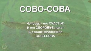 Философия СОВО-СОВА