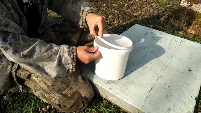 10 Проверка пчёл на наличие клеща