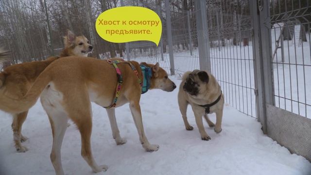 Лекция 2 Визуальная коммуникация смотреть онлайн