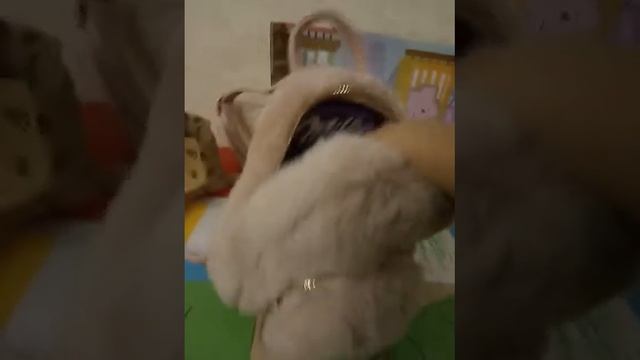 Новогодний подарок смотреть онлайн
