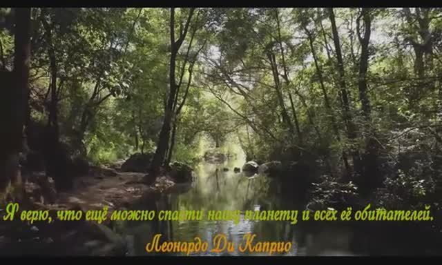 Спасти нашу планету. Стихи автора клипа. смотреть онлайн