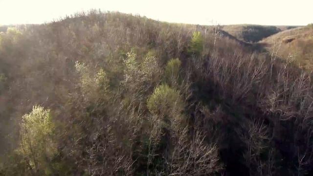 2.7 K  At 60 Fps- Xiaomi Mi Drone 4K (raw Footage)