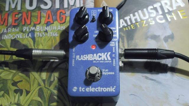 TC ELECTRONIC FLASHBACK DELAY AND LOOPER