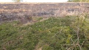 Совместный КоП с каналом Сергеевич в деле!!!