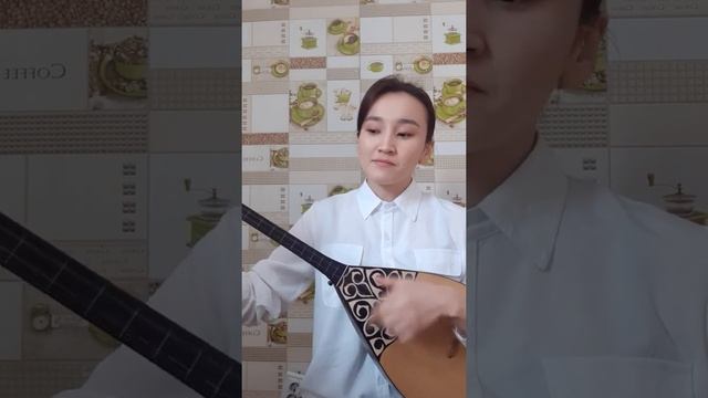 Д.Рақышев "Аяулы менің-арайлым" смотреть онлайн