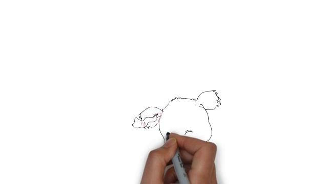 Baby koala bear in color смотреть онлайн