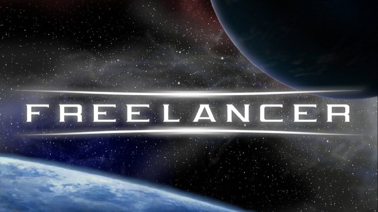 Freelancer №6