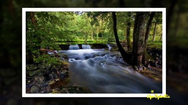 David Denny - Without You (lyrics) смотреть онлайн