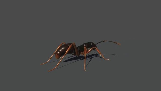 Asian needle ant Unity смотреть онлайн