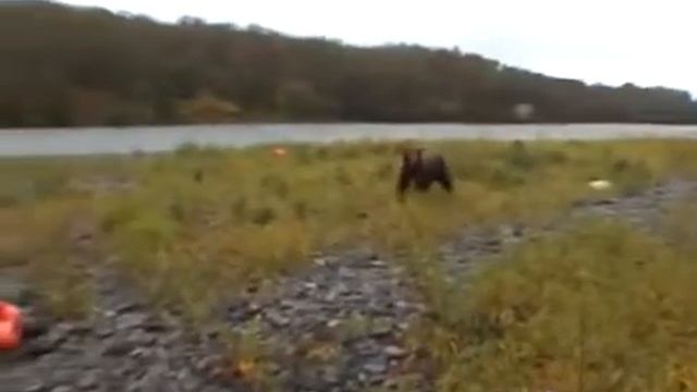 2 мая 2018 г.(1) смотреть онлайн