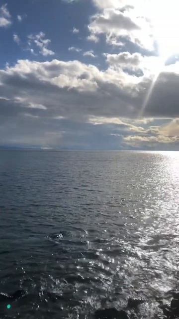 Дайте мне крылья #nature #шорст #бурятия #друзья #отдых #юмор #байкал