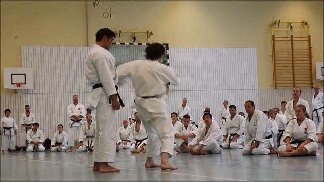 Andre Bertel Karate Seminar: Krefeld, Germany, 2017