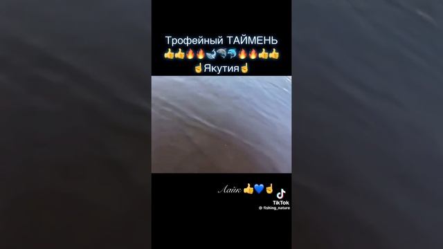 1000013977.mp4 смотреть онлайн