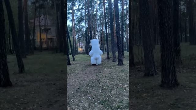 В эфире передача «в мире животных!»🐻❄️🐼🐻🐯🪿 смотреть онлайн