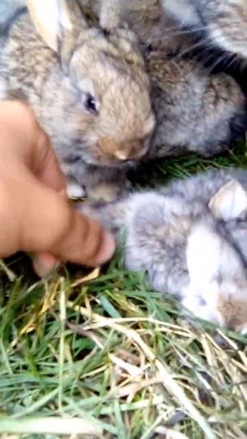 В нас потеря 😭😭 смотреть онлайн