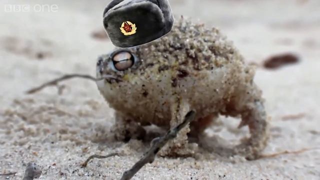 Cheeky Breeky Frog смотреть онлайн