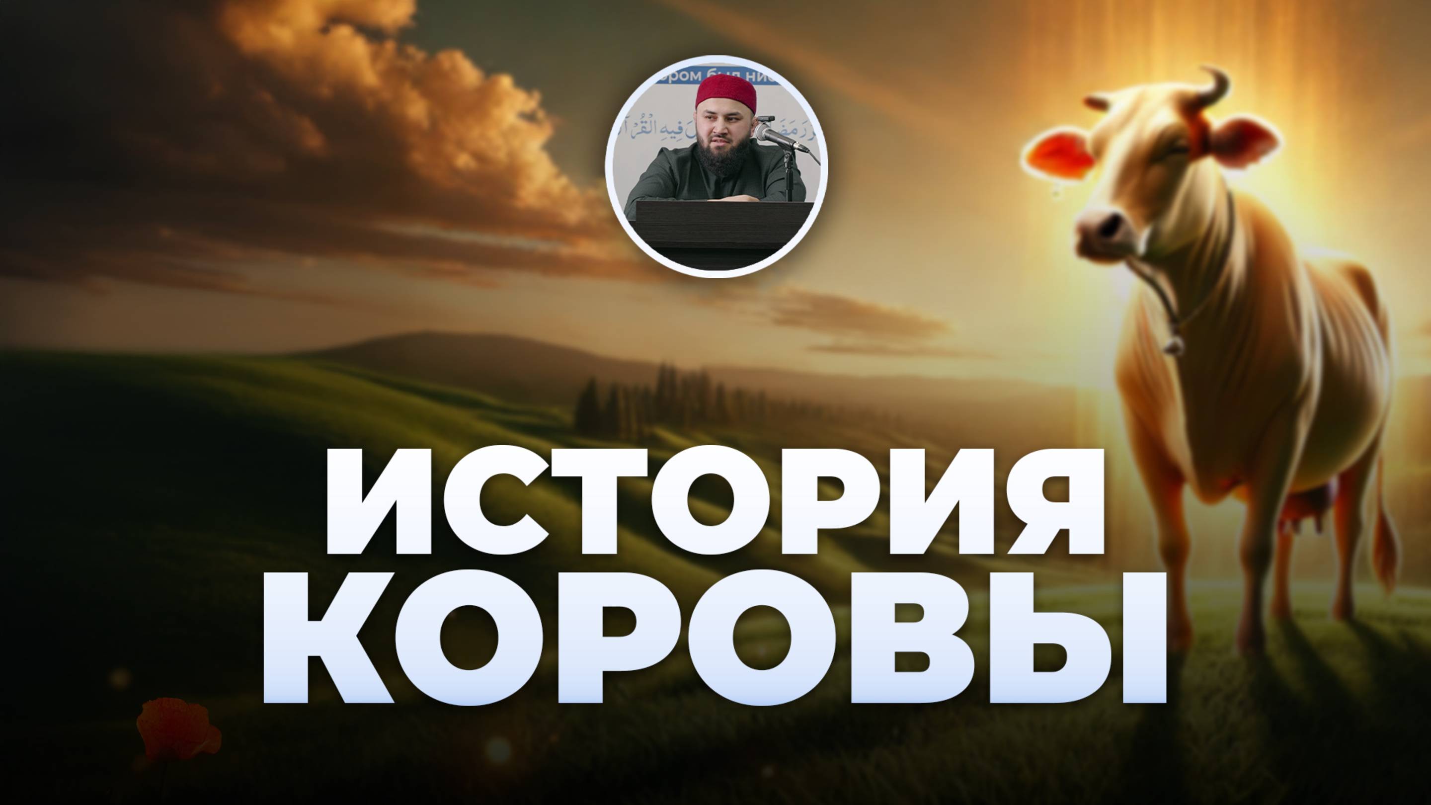 История коровы в Куране (Истории из Къур`ана) – шейх Абдульазиз смотреть онлайн