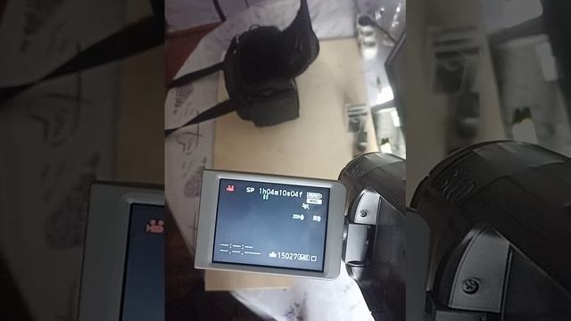 Обзор видеокамеры Panasonic NV-GS230EE mini - DV смотреть онлайн