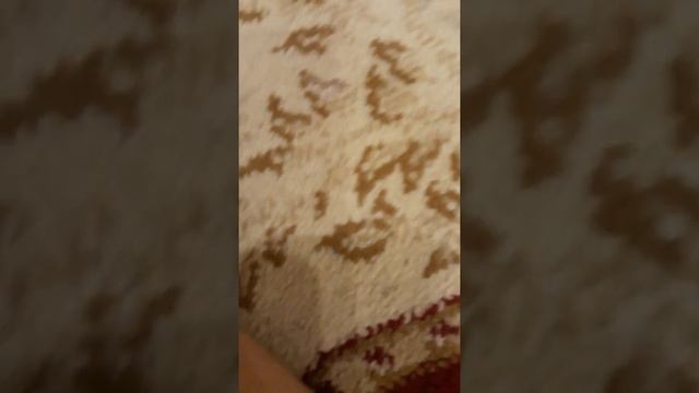 Ник Элина и Зарина смотреть онлайн
