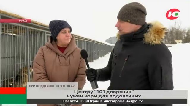 Урайскому центру «101 дворянин» нужен корм для подопечных смотреть онлайн