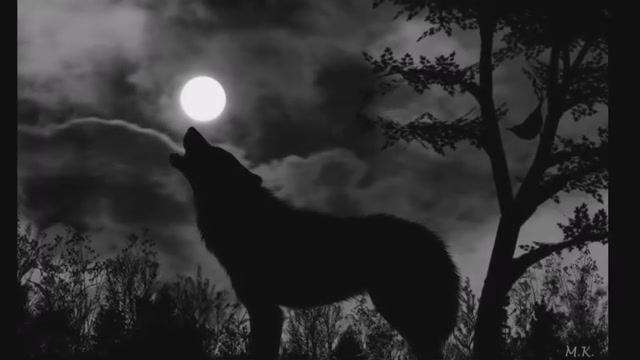 Волчье солнце