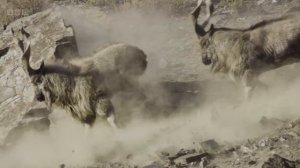 Азия 2 серия «Над облаками» (документальный сериал, 2024)