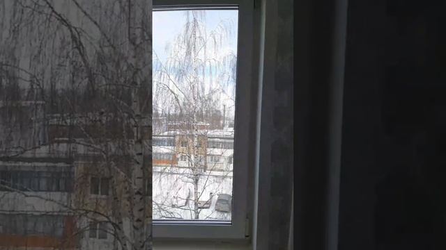 4886670 смотреть онлайн