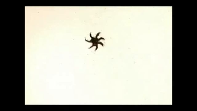 SAYDAM - Seven Genç Ölür смотреть онлайн