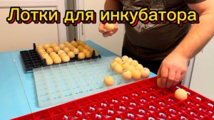 Лотки в инкубатор. В чем различие? Обзор китайских лотков на 88 куриных яиц. Лоток на 88 яиц.