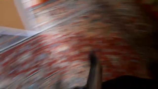 банда в сборе/за нашим Рыжиком зашёл Семён/собака,кот и шиншилла/короткие видео/КОТОПСОВАЯ БАНДА смотреть онлайн