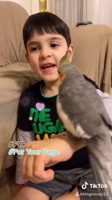Omar is holding the Cockatiel again. смотреть онлайн