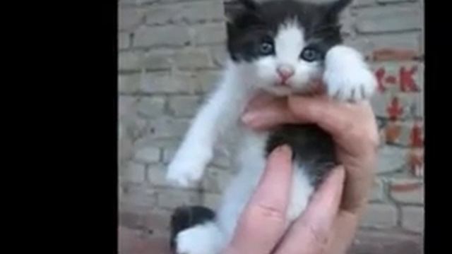 Милашки смотреть онлайн