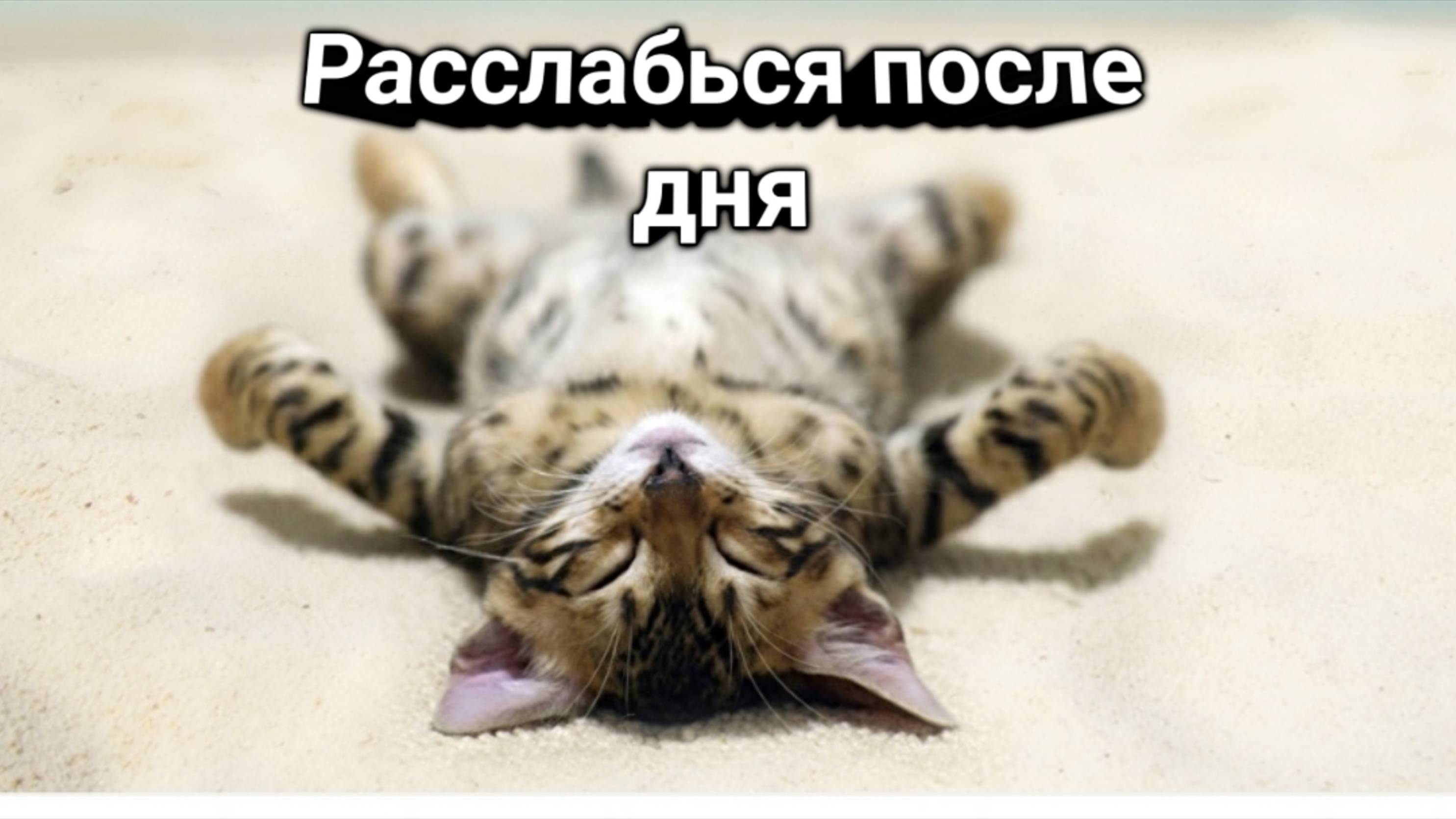 Музыка для восстановления / расслабления с музыкой