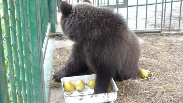 Маняша смотреть онлайн