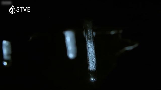 Ilustrando tu mente: Insecto weta смотреть онлайн