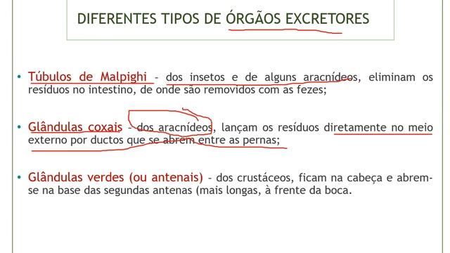 AULA 12 - Online - Turma 211 - Formação Geral смотреть онлайн
