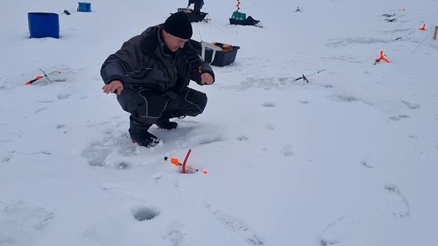 04-03-2025 смотреть онлайн