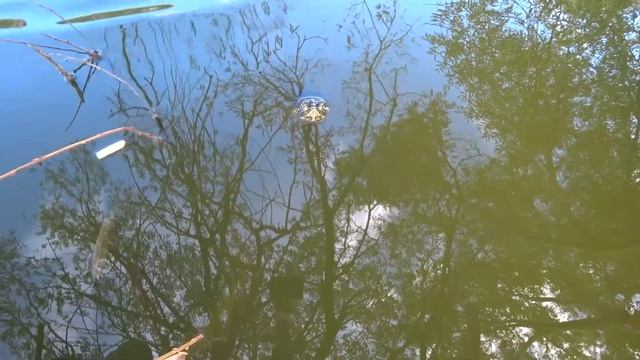 Бештау 2 часть смотреть онлайн