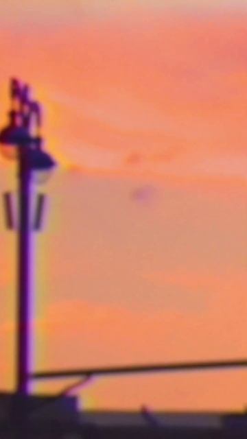 Музыка рассвета #shorts #лето #люпины #рассвет #музыка #рассвет #рок смотреть онлайн