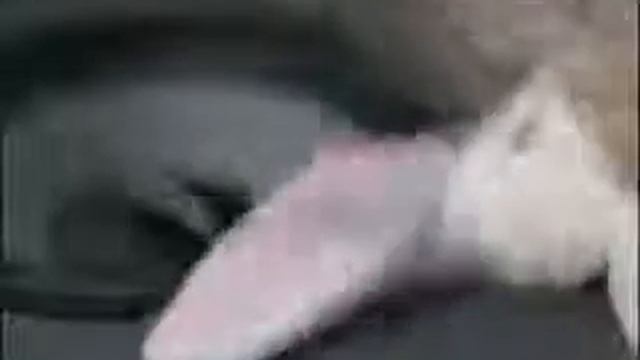 Акустика со смыслом смотреть онлайн