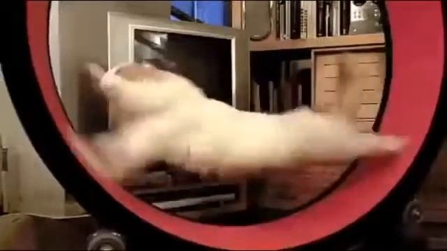 Ран, Вася, ран смотреть онлайн